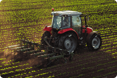 agriculture